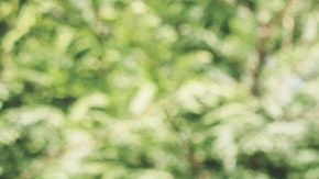 T-Mobile ofrece opciones de servicio móvil e internet poderosas y flexibles para maximizar el presupuesto familiar. (Cortesía T-Mobile)