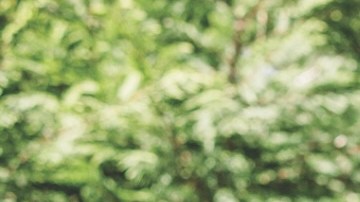 T-Mobile ofrece opciones de servicio móvil e internet poderosas y flexibles para maximizar el presupuesto familiar. (Cortesía T-Mobile)