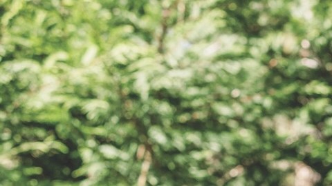 T-Mobile ofrece opciones de servicio móvil e internet poderosas y flexibles para maximizar el presupuesto familiar. (Cortesía T-Mobile)