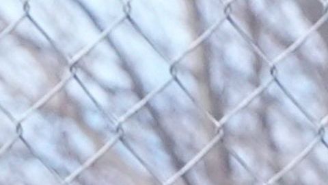 Beneficiario del programa DACA fue interceptado por agentes del ICE pese a tener un historial limpio.