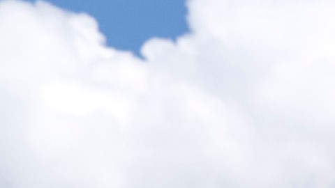 Las marchas en apoyo a la ciudadanía por derecho de nacimiento no se han dejado de sentir desde enero de 2025.