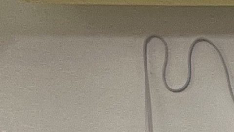 Los esposos Clara López y Arturo Godínez, dueños de la tienda de dulces mexicanos Dulces Clara. (Cortesía)