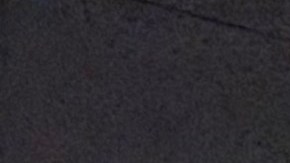 Trabajadores y activistas realizaron un evento previo al Primero de Mayo en Wheaton, Illinois. (Cortesía Casa DuPage)