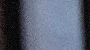 Un agente de Inmigración (ICE) realiziza un arresto en  Park Ridge, Illinois.