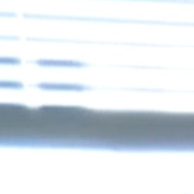 John Prevost, hermano del papa Leon XIV, con un retrato en el que aparecen él y sus dos hermanos en 1958: Robert (el hoy Papa) a la izquierda,  John a la derecha y  Lous, en su casa de New Lenox, Illinois. (Obed Lamy)