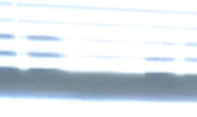 John Prevost, hermano del papa Leon XIV, con un retrato en el que aparecen él y sus dos hermanos en 1958: Robert (el hoy Papa) a la izquierda,  John a la derecha y  Lous, en su casa de New Lenox, Illinois. (Obed Lamy)