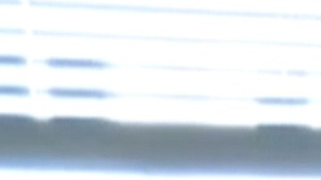 John Prevost, hermano del papa Leon XIV, con un retrato en el que aparecen él y sus dos hermanos en 1958: Robert (el hoy Papa) a la izquierda,  John a la derecha y  Lous, en su casa de New Lenox, Illinois. (Obed Lamy)