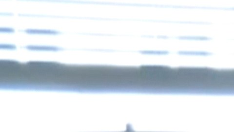 John Prevost, hermano del papa Leon XIV, con un retrato en el que aparecen él y sus dos hermanos en 1958: Robert (el hoy Papa) a la izquierda,  John a la derecha y  Lous, en su casa de New Lenox, Illinois. (Obed Lamy)