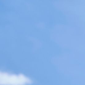 Las marchas en apoyo a la ciudadanía por derecho de nacimiento no se han dejado de sentir desde enero de 2025.