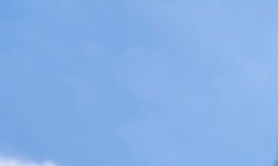 Las marchas en apoyo a la ciudadanía por derecho de nacimiento no se han dejado de sentir desde enero de 2025.