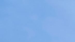 Las marchas en apoyo a la ciudadanía por derecho de nacimiento no se han dejado de sentir desde enero de 2025.