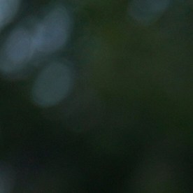 Banderas de México y Estados Unidos durante un desfile mexicano en Chicago.