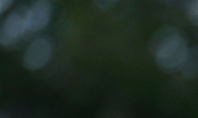 Banderas de México y Estados Unidos durante un desfile mexicano en Chicago.