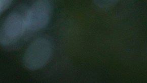 Banderas de México y Estados Unidos durante un desfile mexicano en Chicago.