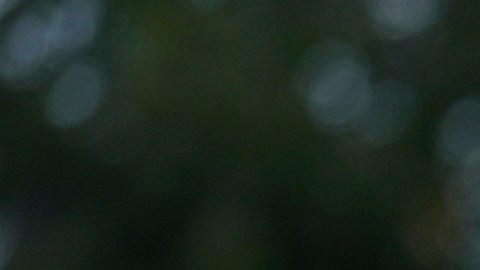 Banderas de México y Estados Unidos durante un desfile mexicano en Chicago.