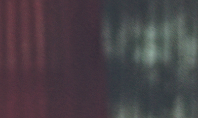 La película de cierre ‘Nosotros, mi papá y el perro’, de Ecuador. (Cortesía Festival de Cine Latino de Chicago)