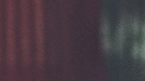 La película de cierre ‘Nosotros, mi papá y el perro’, de Ecuador. (Cortesía Festival de Cine Latino de Chicago)