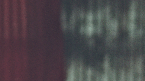 La película de cierre ‘Nosotros, mi papá y el perro’, de Ecuador. (Cortesía Festival de Cine Latino de Chicago)