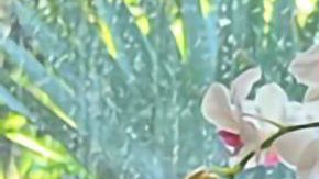 Olivia Maciel, poeta mexicana radicada en Chicago.