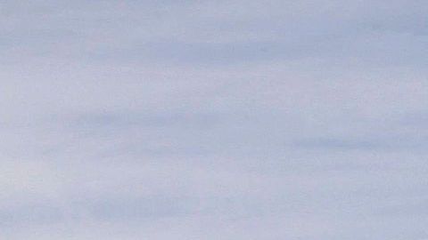 Inmigración: motor fiscal silencioso que fortalece a Estados Unidos