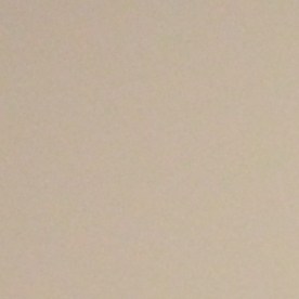 Conferencia de prensa de Arise y trabajadoras despedidas injustamente que ganaron su caso ante la Junta Nacional de Relaciones Laborales. (Cortesía Arise)