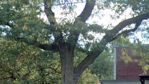 La casa de campo del Piotrowski Park (4247 W. 31st St.), en La Villita, Chicago. (Google Maps)