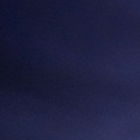 Varios estados aprobaron leyes para limitar operativos del ICE y reforzar derechos de las comunidades inmigrantes.