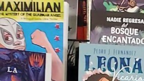 Pequeña lectora con las obras que ¡Viva! Los Libros pone a disponibilidad de las escuelas y familias latina de Chicago y el país. (Cortesía ¡Viva! Los Libros)